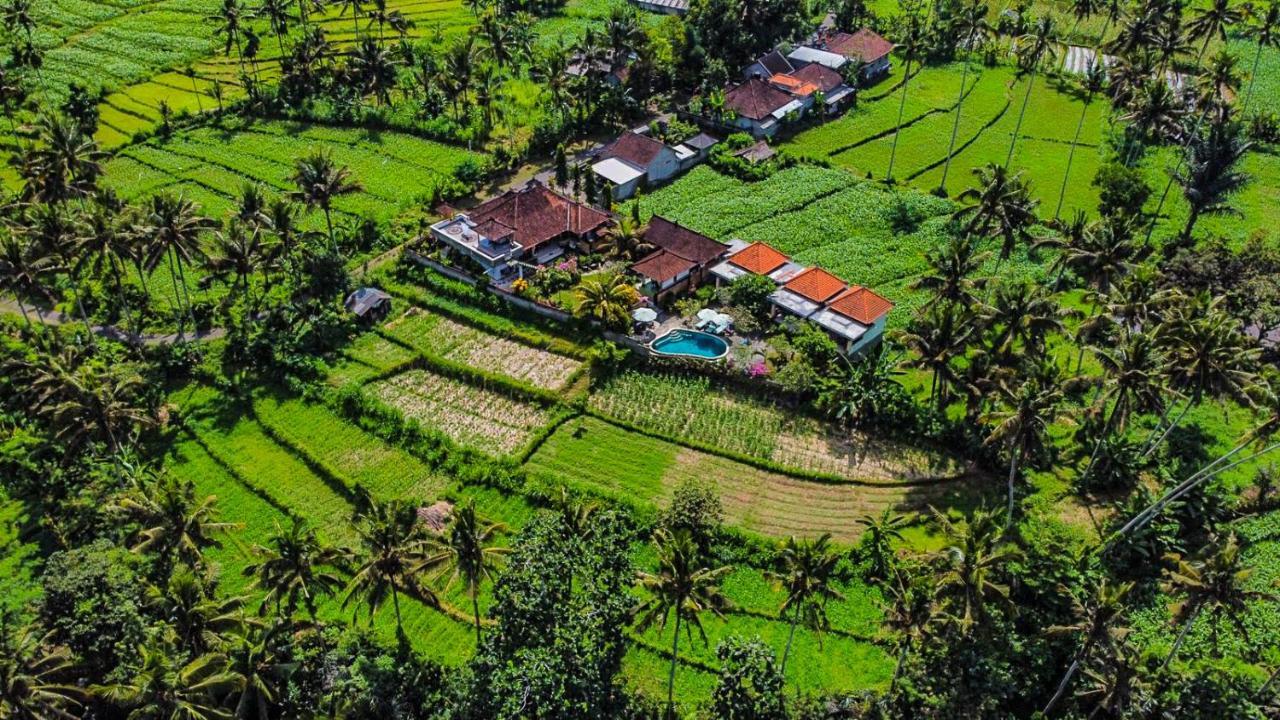 Dana Bali Ricefield *
