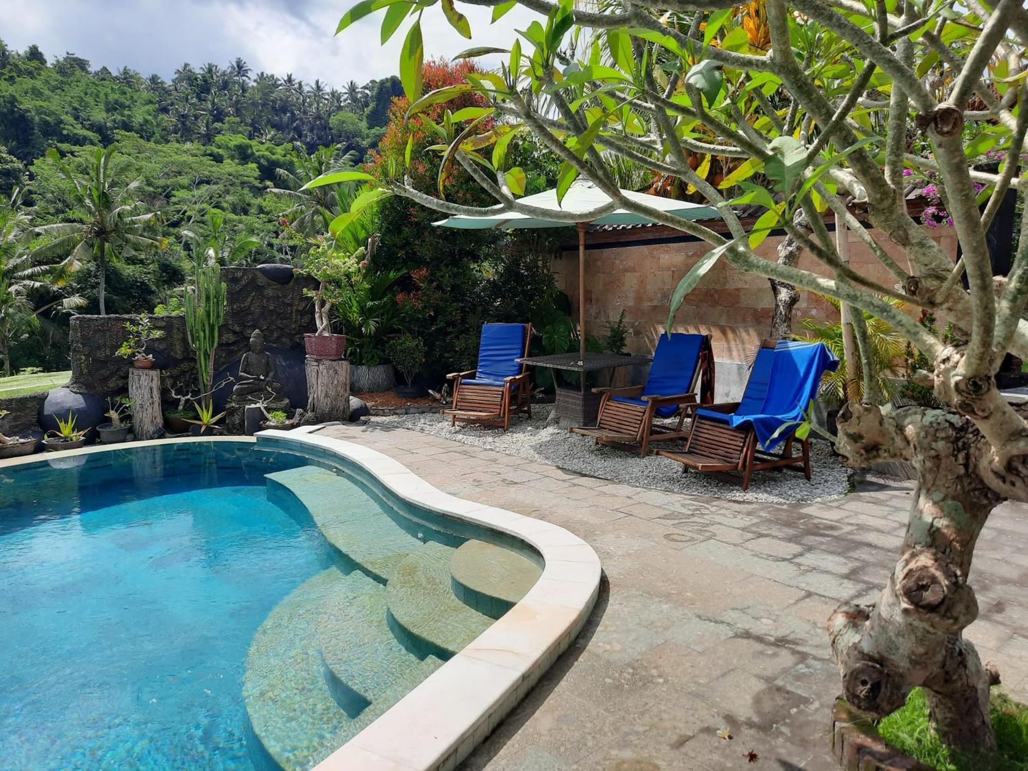 Dana Bali Ricefield *
