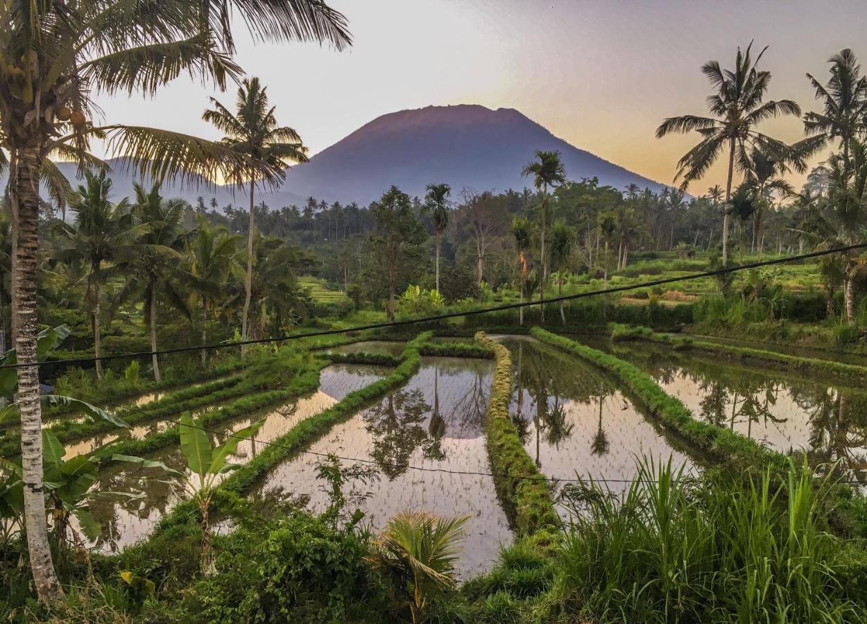 Villa Dana Bali Ricefield Candi Dasa (Bali)