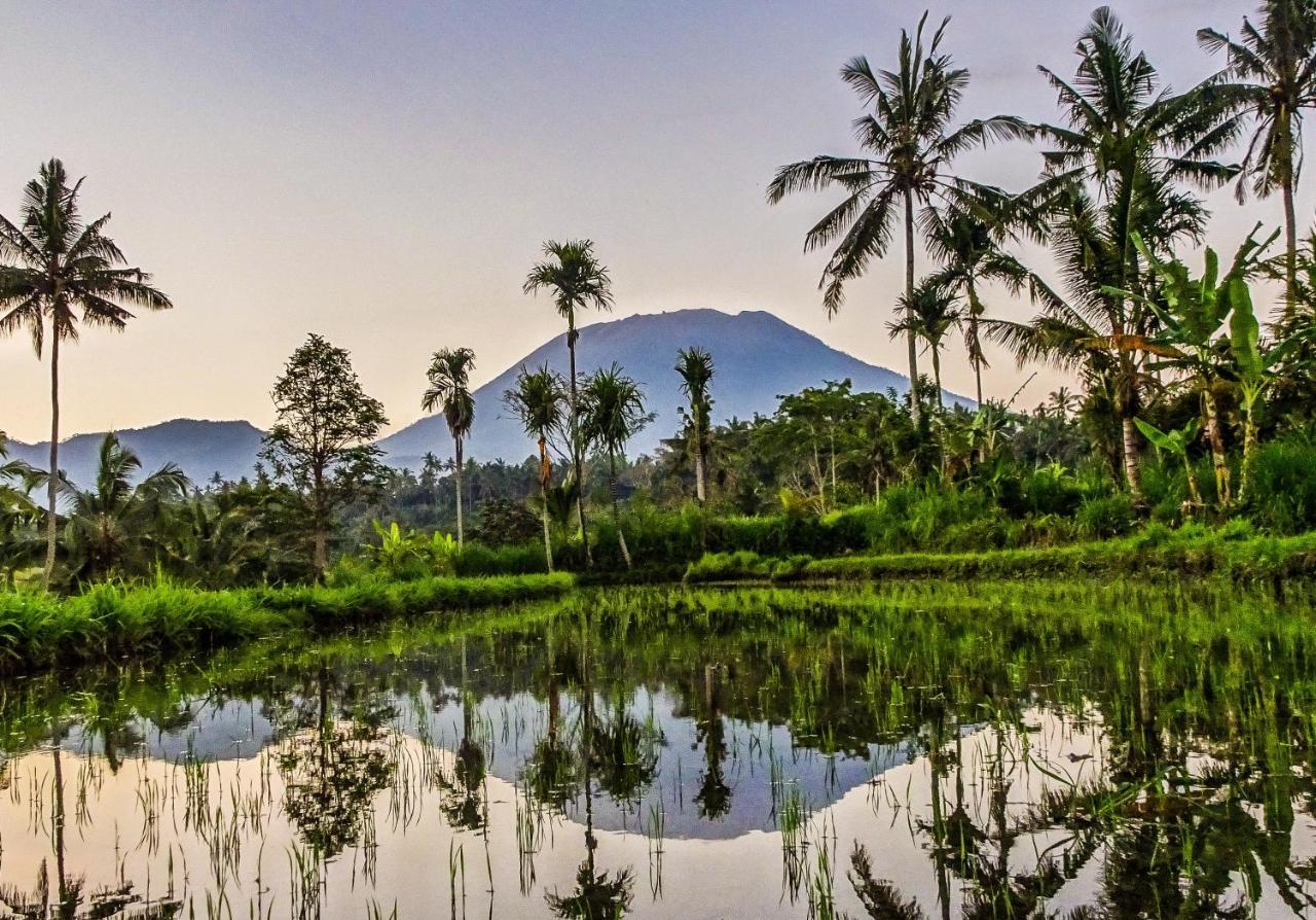 Dana Bali Ricefield *