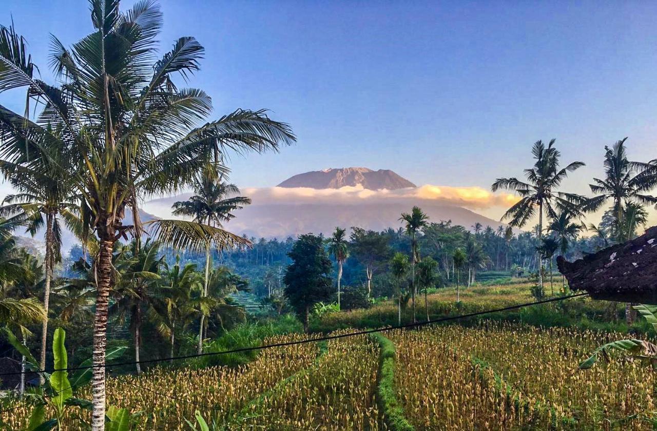 Villa Dana Bali Ricefield *