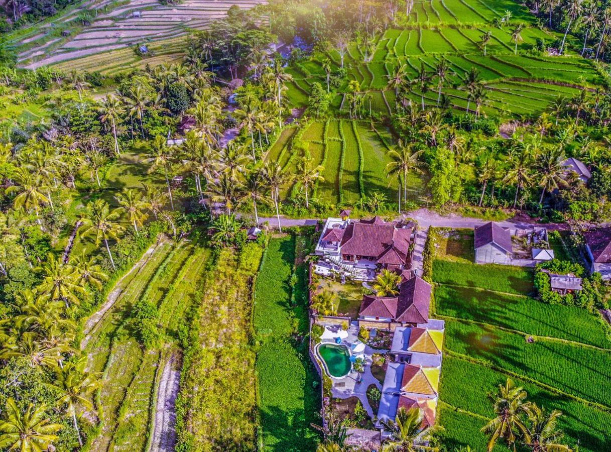 Dana Bali Ricefield Villa