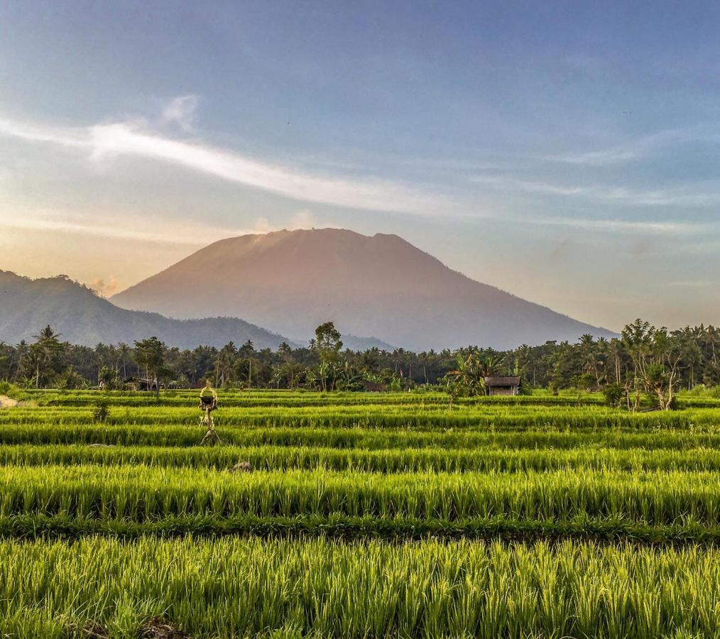 Dana Bali Ricefield * Candi Dasa (Bali)